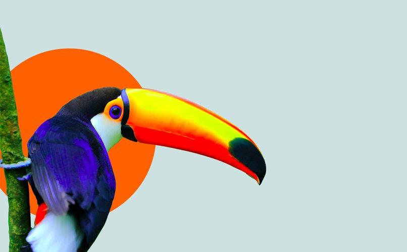 Brazil: Places, Culture, Tradition